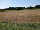 Sprzedam działkę Wz Basznia Dolna - 5