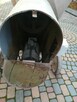 Betoniarka uszkodzona 150 litrów oddam za darmo - 4
