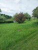 Dom na sprzedaz - 10