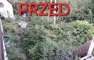 Koszenie traw, wycinka drzew, skracanie żywopłotu! - 3
