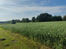 syndyk sprzeda 1/2 udziału w nieruchomości rolnej - 6