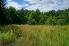 Działka 1305m2, Milanówek - 5