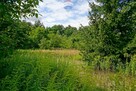 Działka 1305m2, Milanówek - 9