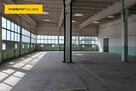 Wynajem hali w Toruniu o powierzchni  1518,4 m2. - 3