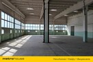 Wynajem hali w Toruniu 7575m2 dobra lokalizacja. - 3