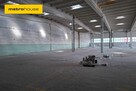 Wynajem hali w Toruniu 7575m2 dobra lokalizacja. - 7