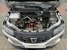 Dacia spring - 10
