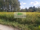 DO SPRZEDAŻY DZIAŁKA W WOLI ZARCZYCKIEJ Z WZ - 2