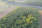 Na sprzedaż – działka rolna zalesiona, Jagodno - 5