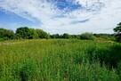 Działka budowlana 918m2(wszystkie media), Żyrardów - 5
