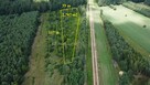 Działka budowlana przy lesie. - 9