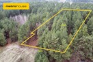 Malownicza działka 2700m2 w Kamieńczyku - 2