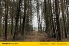 Malownicza działka 2700m2 w Kamieńczyku - 4