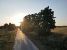 Działka Rusinów Wola Gałecka - 4