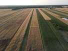 Działka Rusinów Wola Gałecka - 7