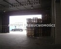 Lokal użytkowy Opacz-Kolonia gm. Michałowice - 4