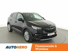 Opel Grandland X GRATIS! Pakiet Serwisowy o wartości 800 zł! - 10