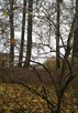 Sprzedam działkę, jezioro, pomost, dostęp - 7