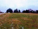 Nieruchomość niezabudowana - Leńcze - 6