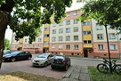 2-pokojowe mieszkanie w centrum - wynajem 42,97m2, 2 piętro - 10