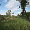 Sprzedam działkę, jezioro, pomost, dostęp - 8