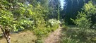 Sprzedam działkę 16 km od Piaseczna - 5