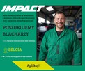 Blacharz ( wystarczą podstawy angielskiego) - 1