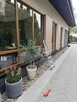 Sprzątanie mieszkań /mycie okien - 6