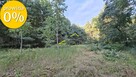 Działka 7206m2  z warunkami zabudowy - 8