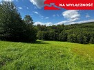 Działka Rolno-Budowlana | Wola Lubecka | Okazja - 1