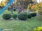 Sprzedam dom z ogrodem i działką rolną - 3
