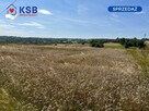 Działka rolna w przepięknej okolicy -12500m2 - 1