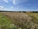 Działka rolna w przepięknej okolicy -12500m2 - 5