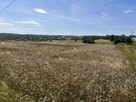Działka rolna w przepięknej okolicy -12500m2 - 6