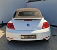 Volkswagen Beetle Cabrio - 6