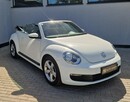 Volkswagen Beetle Cabrio - 10