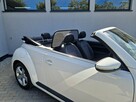 Volkswagen Beetle Cabrio - 15