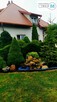 Dom Suskrajowice Suskrajowice - 4