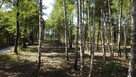 Działka budowlana Żanęcin gm. Wiązowna, Gościniec - 5