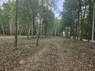 Działka budowlana Żanęcin gm. Wiązowna, Gościniec - 10