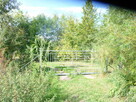Działka 6700m2,gm.Dobra,dr.asf.las. - 4
