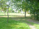 Działka 6700m2,gm.Dobra,dr.asf.las. - 7