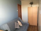 Poznań 3 pok przy U Przyrodniczym od zaraz - 5
