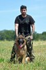 Ares - w typie Długowłosy owczarek niemiecki; młody - 9