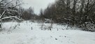 Syndyk sprzeda udział 1/8 w spadku działek Gostków - 1