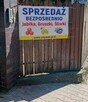 Gruszka Klapsa Sprzedam cena 1,50 zł.tel.515514800 - 2