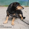 Tymon - 4