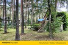 Dom w Sokolnikach, las i śpiew ptaków - 3