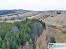 Działka rolna Pobiedno gm. Bukowsko, - 6