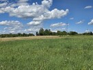 Działka rolna Wójtowa gm. Lipinki - 7